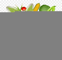 Clip Art Library Vegetable Border Clipart - Fruit And ...