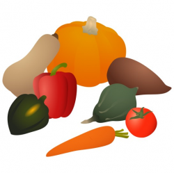 MyPlate Exploration: Red and Orange Vegetables - Food and ...