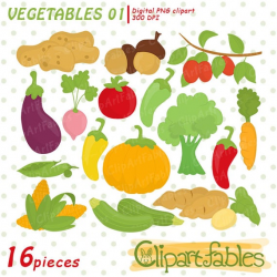 Vegetables clipart, digital clipart, clip art set of carrot, peas,  broccoli, radish, unique yams, zucchini - instant download