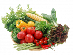 Vegetable PNG Transparent Images | PNG All