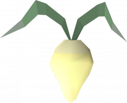 Evil turnip | RuneScape Wiki | FANDOM powered by Wikia