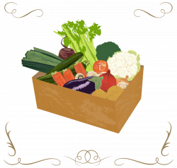 Large Vegetable Box | One Organic