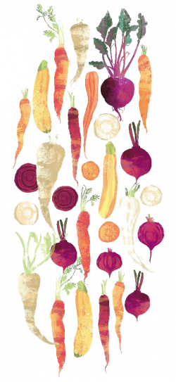 Vegetable Floral design Watercolor painting Carrot - Hand-painted ...
