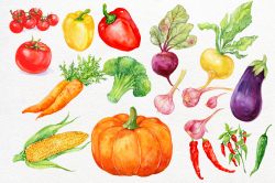 Vegetables clipart.watercolor