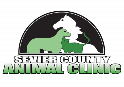 Sevier County Animal Clinic