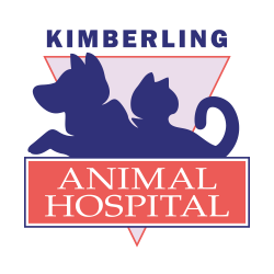 Kimberling City Pet Testimonials - Kimberling Animal Hospital