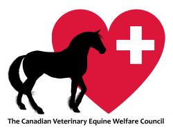 The Canadian Veterinary Equine Welfare Council – United for ...