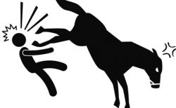 Get defensive when working with equine veterinary patients