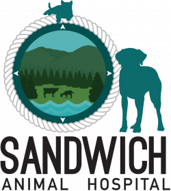 Sandwich Animal Hospital - Family Veterinary Care in New Hampshire