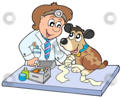Dog with sick paw at veterinarian stock vector
