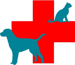 Free Veterinary Symbol Cliparts, Download Free Clip Art ...