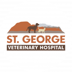 St. George Veterinary Hospital | Veterinary Medicine