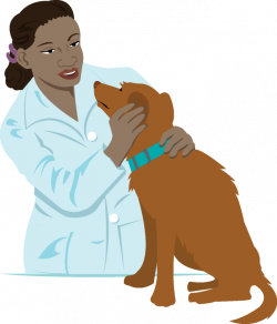 veterinary technician clipart - OurClipart