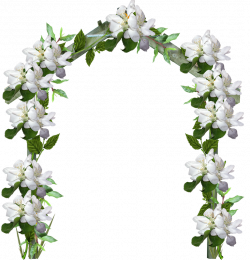 Arch Download Clip art - Flower vine,arch 767*800 transprent Png ...