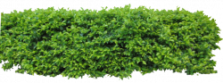 Hedge1 png by Owhl-stock | фотошоп | Pinterest | Architecture