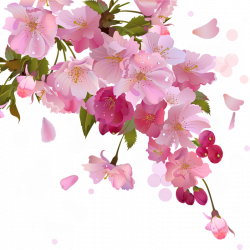 FLORES Y LETRAS PARA DECOUPAGE | Pinterest | Cherry blossoms ...