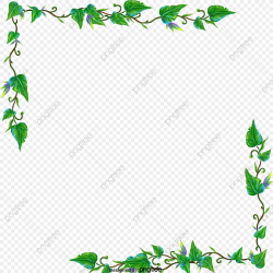 Vines Border, Vine, Green, Flower PNG Transparent Clipart ...