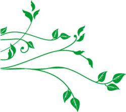 Leaf vine clipart - Clip Art Library