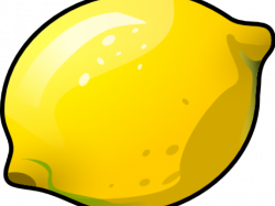 19 Vines clipart lemon HUGE FREEBIE! Download for PowerPoint ...