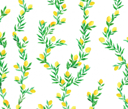 watercolor lemon vines on white | large scale wallpaper ...