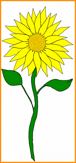 The Best Afad Ad Orig Zestawy Do Projektow Pics Of Sunflower Frame ...