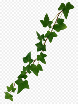 Family Tree Background clipart - Vine, Leaf, Plant ...