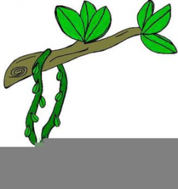 Clipart Tree Vines | Free Images at Clker.com - vector clip ...
