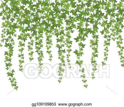 Vector Stock - Green ivy. creeper wall climbing plant ...