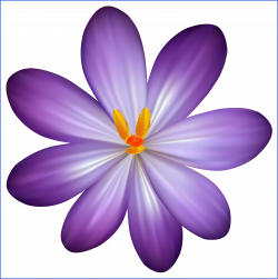 Fascinating Purple Crocus Flower Png Clipart Image Gallery ...