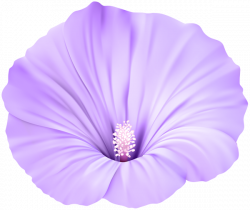 Violet Flower Transparent PNG Clip Art | Gallery Yopriceville ...