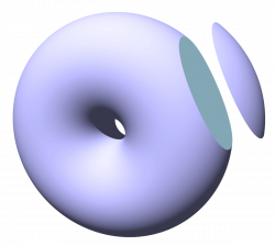 Toric lens - Wikipedia