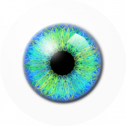 Eye PNG Image - PurePNG | Free transparent CC0 PNG Image Library