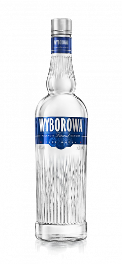 15 Vodka bottle png for free download on mbtskoudsalg