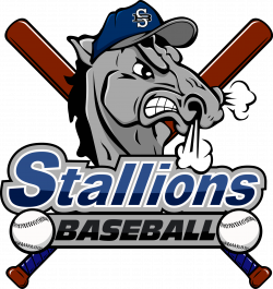 Stallions Baseball Club