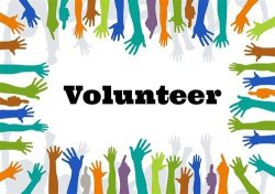 Parent Involvement / Volunteers