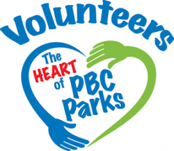 Parks & Recreation - Volunteer