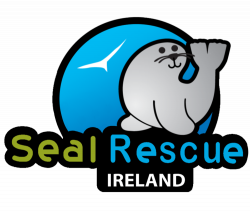 Volunteer — Seal Rescue Ireland