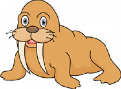 Search Results for Walrus - Clip Art - Pictures - Graphics ...