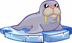 Walrus free to use cliparts - ClipartPost