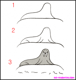 Draw a Walrus | Walrus Theme | Animal drawings, How to do ...
