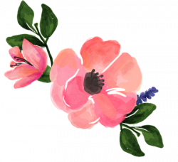 15 Pink water color flower png for free download on mbtskoudsalg