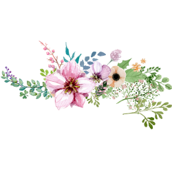 Watercolor Flower Borderround Png - peoplepng.com
