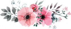 Image result for watercolor flowers png hd | ilustraciones ...