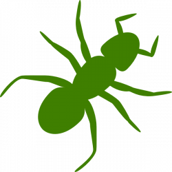 Green Ant Clip Art at Clker.com - vector clip art online, royalty ...