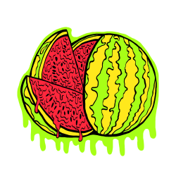 Rotten Watermelon by GRIMEANDSLIMECO. Hand Printed Quality Tee.