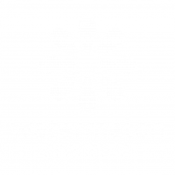 Watermelon-Creative – Design for Licensors | Licensees | Retailers