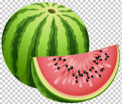 Watermelon Fruit PNG, Clipart, Cantaloupe, Citrullus ...