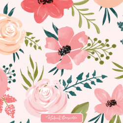 Watermelon & Poppy Floral Graphic Set - Illustrations | Hand ...