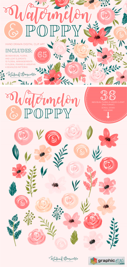 Watermelon Poppy Floral Graphic Set » Free Download Vector ...