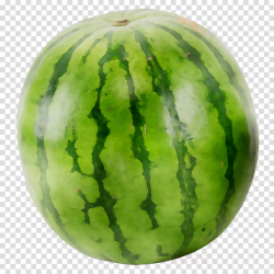 Watermelon Background clipart - Watermelon, Green, Fruit ...